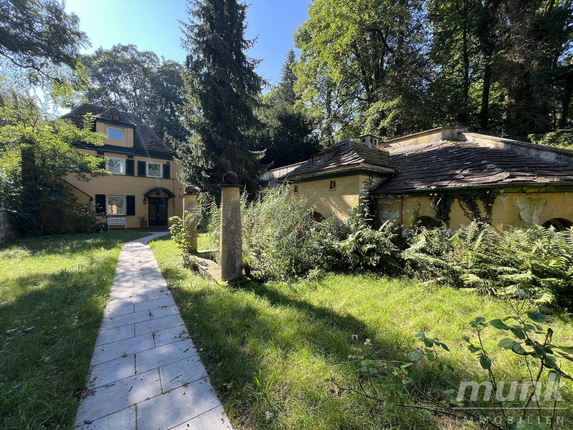 Bild: Paradies in der Stadt