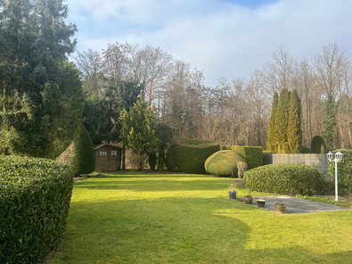 wunderschöner Garten.jpg