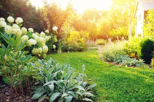 Bild: Wohnbeispiel Garten 2