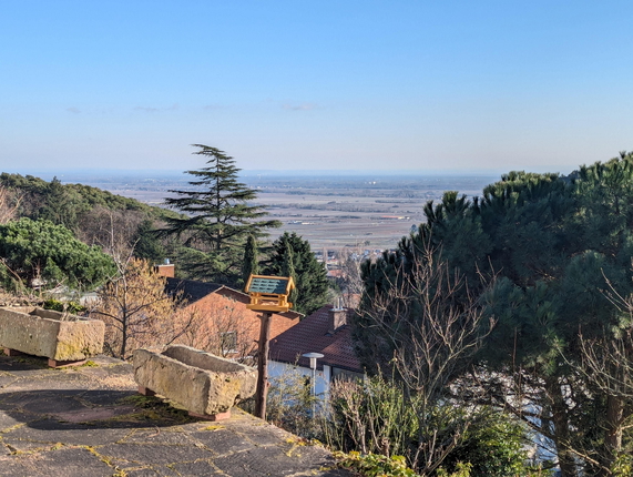 Bild: Blick von der Terrasse