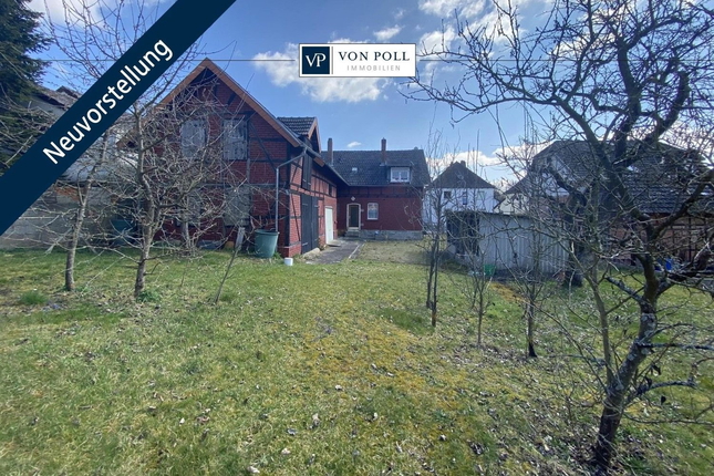 Bild: Bild 1