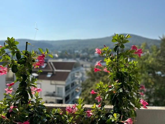 Bild: Blick vom Balkon