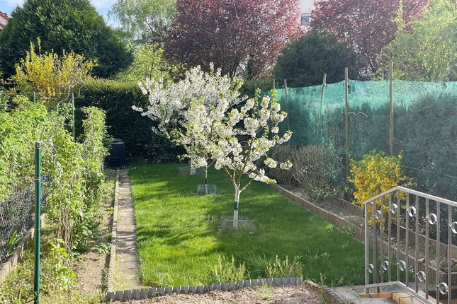 Bild: Garten