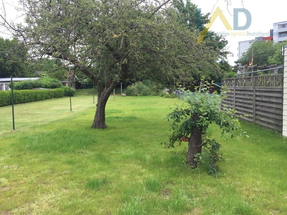 Bild: Bild 1