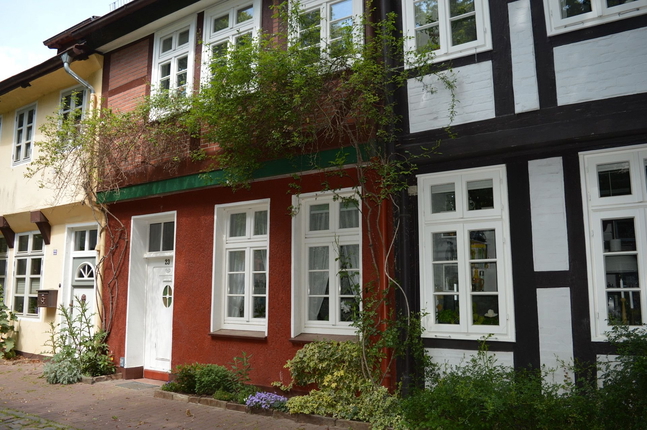 Bild: Bild 1