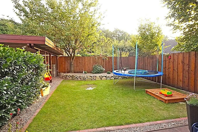Bild: Garten