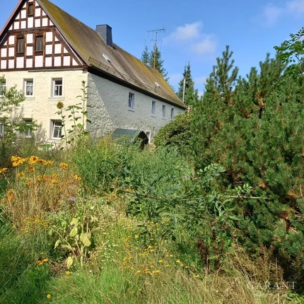 Bild: 20230817 105231