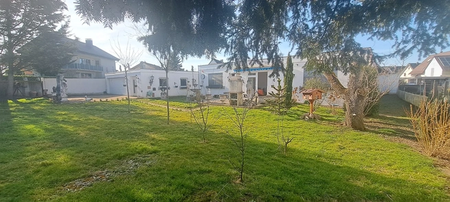 Bild: angelegter Garten & Terrasse