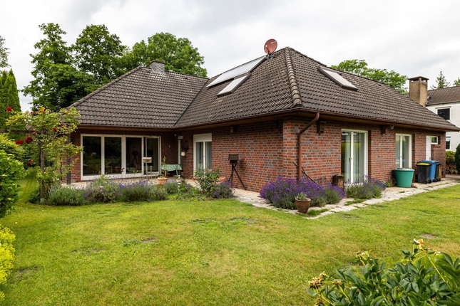 Bild: Garten