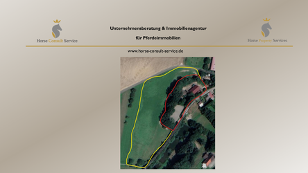 Newsletter_Bilder.png