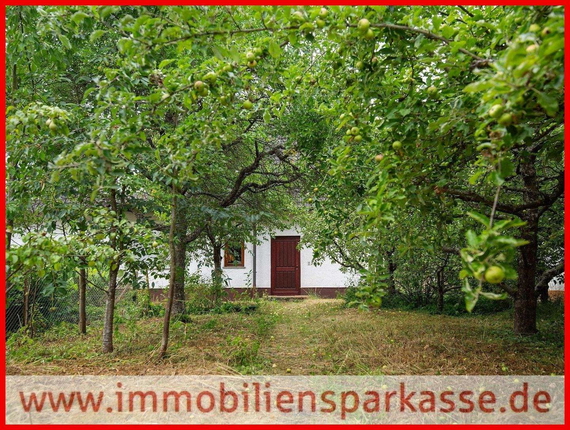 Bild: Erwecken Sie das Haus aus dem Dornröschenschlaf!