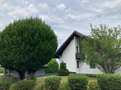 Willkommen zu Hause