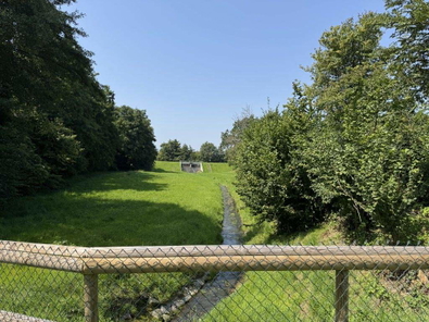 Bild1