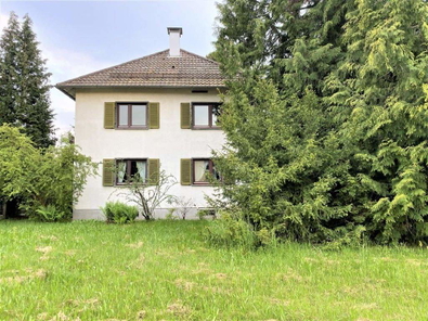 Bild1