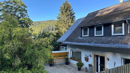 Ausblick Willingen Strycktal