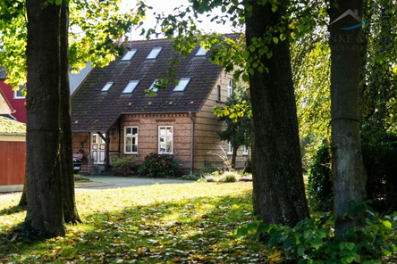 Alter Baumbestand