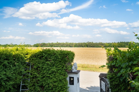 Ausblick Eingang