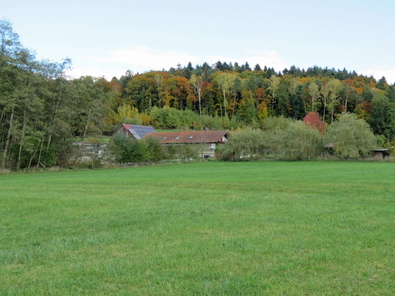 am Waldrand