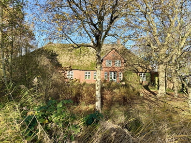 Herbstgeflüster