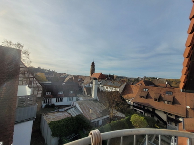 Ausblick Balkon Westen.jpg