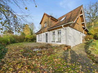 Bild1