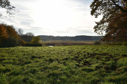 Morgensonne auf dem Grundstück.jpg