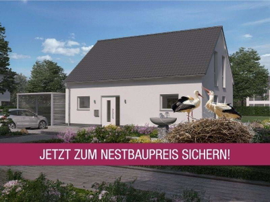 Nestbau
