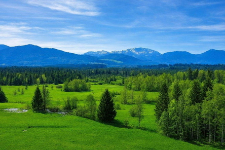 Ausblick