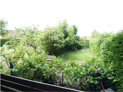 Blick ins Grüne aus großer Wohnung