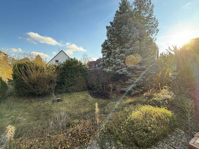 Blick in den Garten
