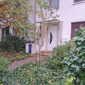 Ansicht Haus