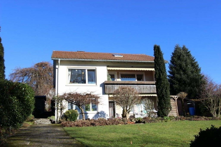 Bild1
