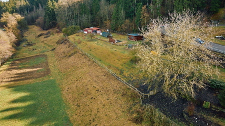 Paradies für Ihre Tiere, Wiese und Stall