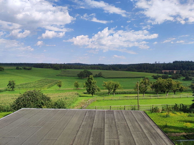 Ausblick OG.jpg