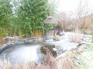 Gartenteich