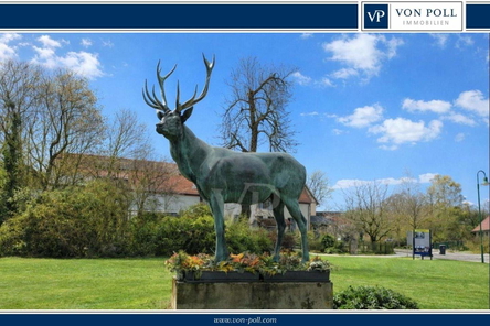 Hirsch
