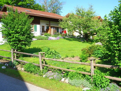 Sommerbild