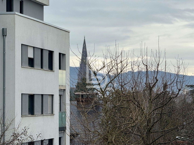 Münster