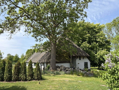 Historisches Reetdach-Hallenhaus in Kühlungsborn – bereit für neues Leben DAHLER Rostock