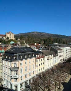 Aussicht mit Schloß.jpg