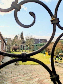 Garten3.jpg