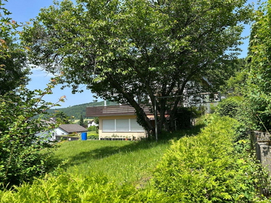 Blick vpm Garten aus