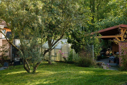 unbenannt-3.JPG