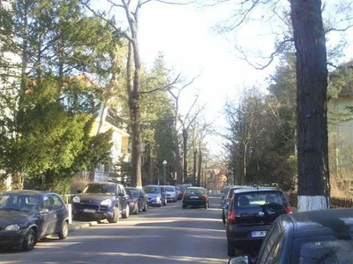 Grunewald-Grünlage