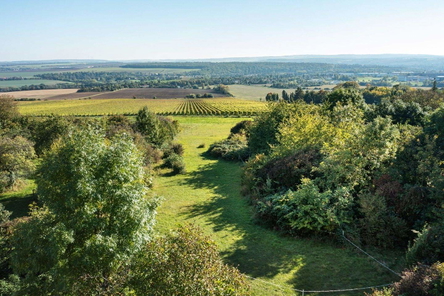Blück übers Weingut Weimar