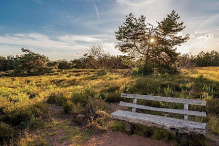 Dresdner Heide