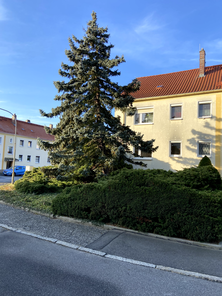 Objekt(2).png