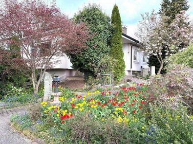 Ansicht (Medium)