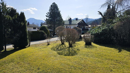 Blick1.jpg