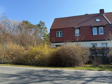Bild 1.JPG